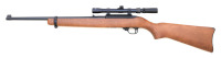Ruger 10/22 Semi-Auto Carbine - 2