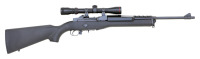 Ruger Semi-Auto Ranch Rifle