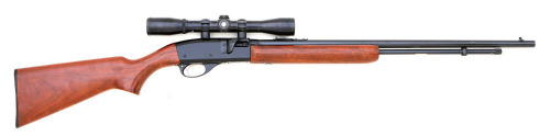 Remington Model 552 Speedmaster Semi-Auto Rifle