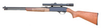 Winchester Model 190 Semi-Auto Rifle - 2