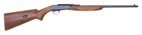 Norinco ATD 22 Semi-Auto Rifle