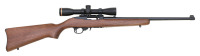 Ruger 10/22 Semi-Auto Carbine