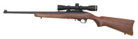 Ruger 10/22 Semi-Auto Carbine - 2