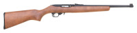 Ruger 10/22 Semi-Auto Rifle