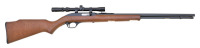 Marlin Model 60 Semi-Auto Rifle