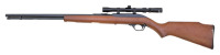 Marlin Model 60 Semi-Auto Rifle - 2