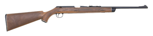 Daisy & Heddon VL Single Shot Rifle