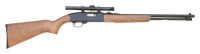 Winchester Model 190 Semi-Auto Rifle