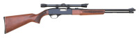 Winchester Model 290 Semi-Auto Rifle