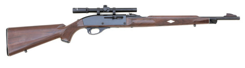 Remington Nylon 66 Semi-Auto Rifle