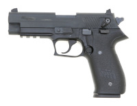 Sig Sauer Mosquito Semi-Auto Pistol - 2