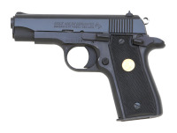 Colt Government Model 380 Semi-Auto Pistol - 2