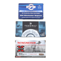 Assorted 300 Win Mag Ammunition