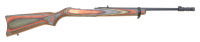 Ruger 10/22 Stock and Barrel