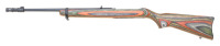 Ruger 10/22 Stock and Barrel - 2