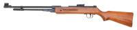 Chinese Air Rifle - 2
