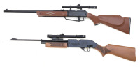 Lot of Air Rifles - 2