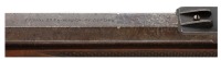 Magnificent Engraved and Cased British Percussion Prize Rifle by Joseph Lang - 5