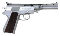 Wildey Survivor Semi-Auto Pistol