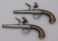 Pair of British Screw Barrel Center Hammer Muff Pistols by Adams