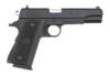 Para Ordnance P14-45 Semi-Auto Pistol