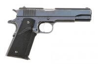 Essex Arms Government Model Semi-Auto Pistol