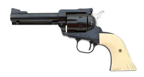 Ruger Blackhawk Single Action Revolver