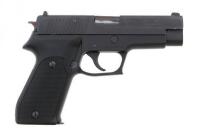 Sig Sauer P220 Semi-Auto Pistol