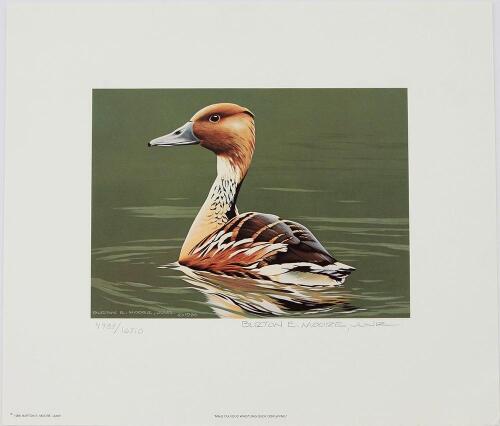 1986-97 Federal Duck Stamp Print