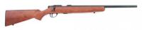 NS Firearms Corp. Model 522 Bolt Action Rifle