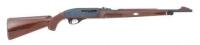 Remington Nylon 66 Semi-Auto Rifle