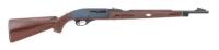 Remington Nylon 66 Semi-Auto Rifle