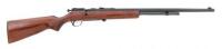 Cooey Model 60 Bolt Action Rifle