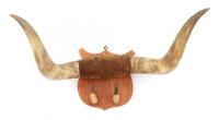 Texas Longhorn Display Mount