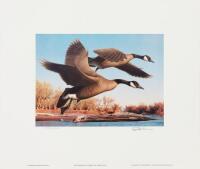 Colorado Duck Stamp Print