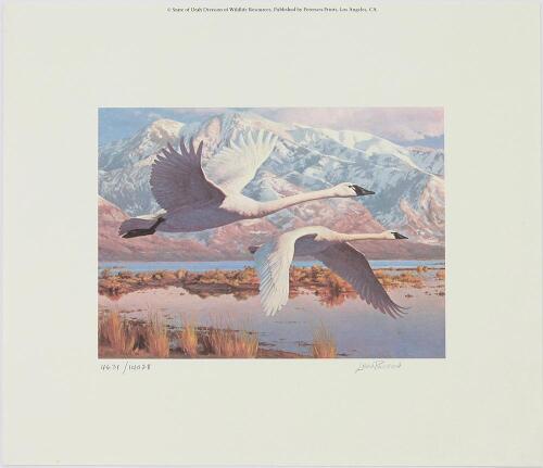 Utah Migratory Waterfowl Stamp Print