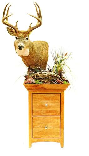 Whitetail Mount