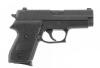 Sig Sauer Model P245 Semi-Auto Pistol
