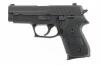 Sig Sauer Model P245 Semi-Auto Pistol - 2