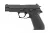 Sig Sauer P220 Semi-Auto Pistol - 2