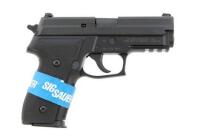 Sig Sauer P229 Semi-Auto Pistol