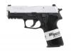Sig Sauer P229 Semi-Auto Pistol - 2