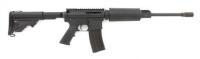 DPMS Panther Sportical Semi-Auto Carbine