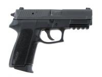 Sig Sauer SP2022 Semi-Auto Pistol