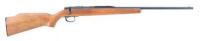Remington Model 580 SB Bolt Action Smoothbore ''Rifle''