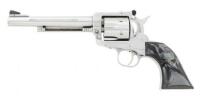 Ruger New Model Blackhawk Revolver