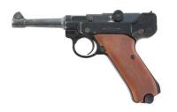 Stoeger .22 Caliber Luger Semi-Auto Pistol