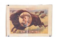 Buffalo Bill Print