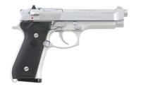 Beretta Model 96 Inox Semi-Auto Pistol