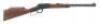 Henry Repeating Arms Varmint Express Lever Action Carbine